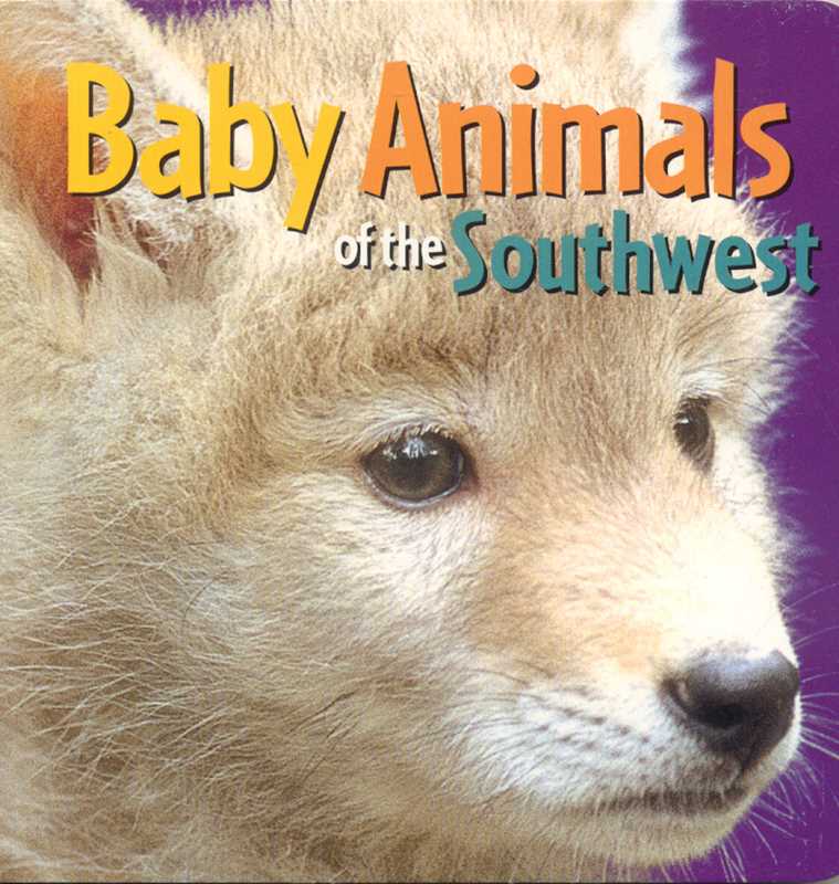 Baby Animals of the Southwest - vibeboxshop
