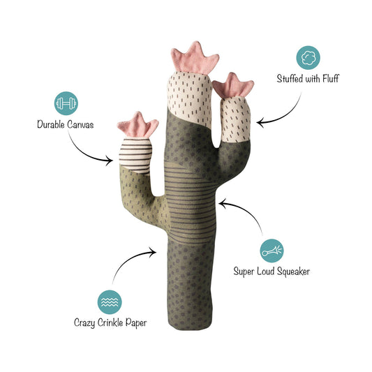 CACTUS SQUEAKER DOG TOY - vibeboxshop
