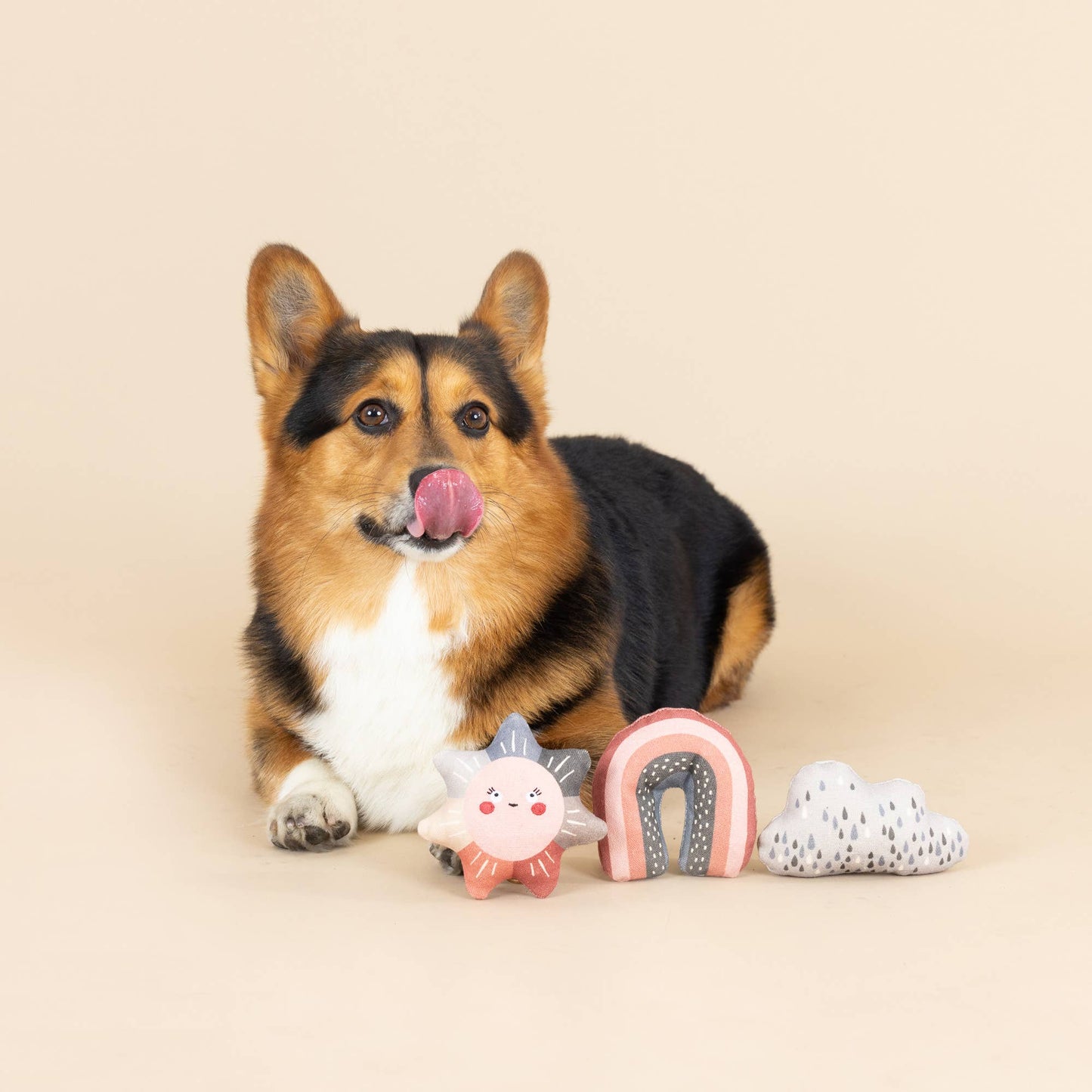 CANVAS MINI DOG TOY SET RAIN OR SHINE - vibeboxshop