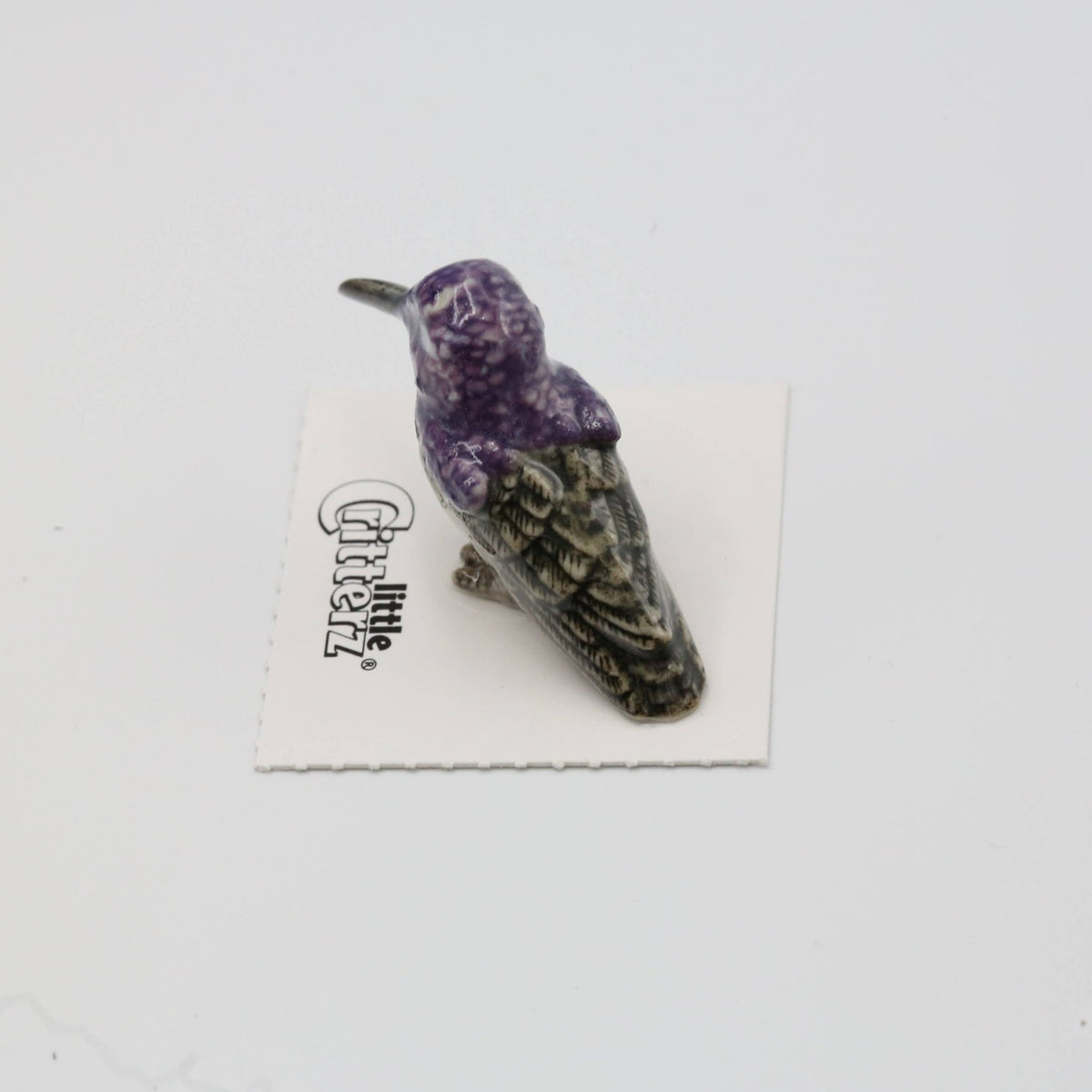 Cheer Costa's Hummingbird Porcelain Miniature - vibeboxshop