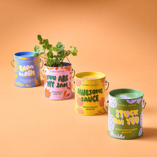 Color Grow Kits - vibeboxshop
