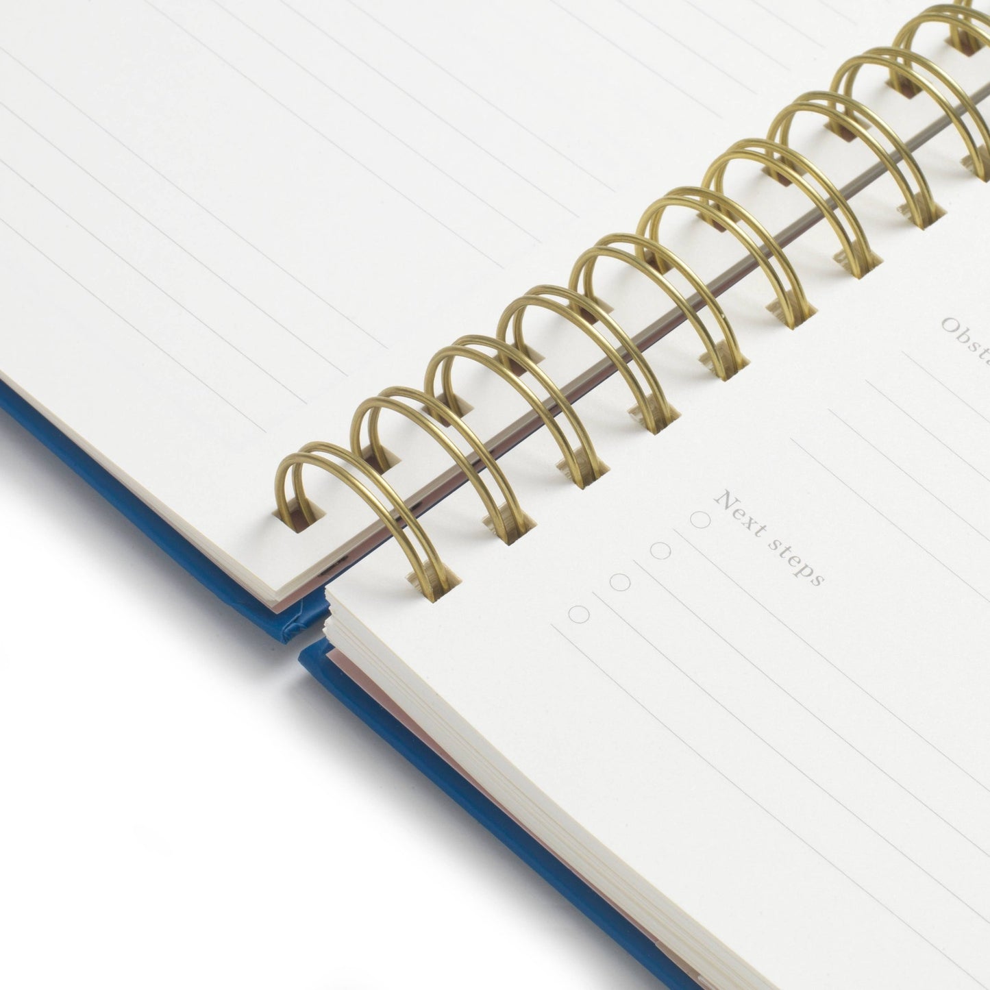 Daily Planner - Bold Blue - Undated - vibeboxshop