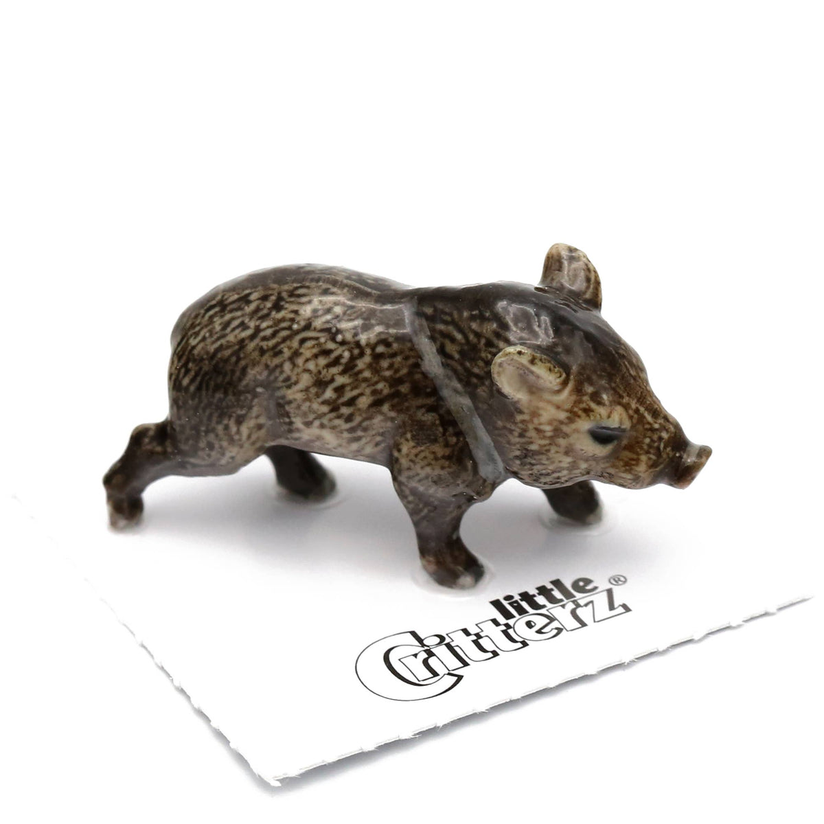 Jabali Javelina Porcelain Miniature - vibeboxshop