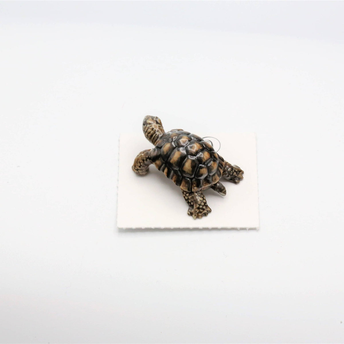 Joshua Desert Tortoise Porcelain Miniature - vibeboxshop