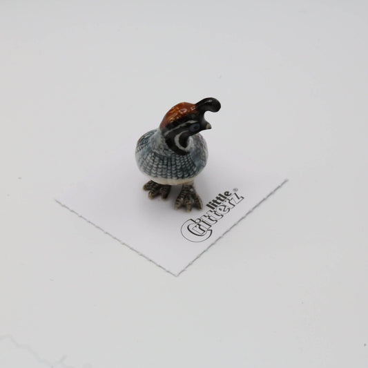 Sage Gambel's Quail Porcelain Mini Figurine - vibeboxshop