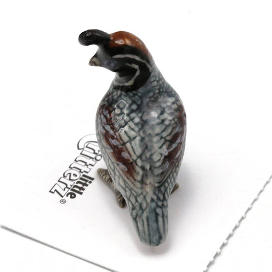 Sage Gambel's Quail Porcelain Mini Figurine - vibeboxshop