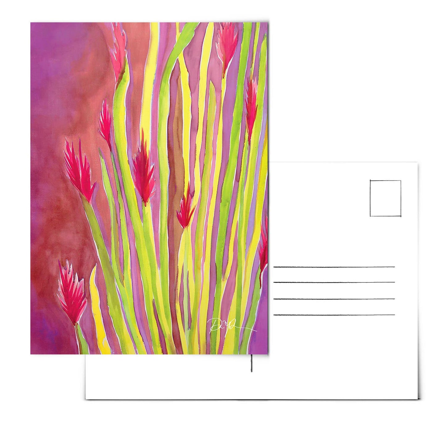 Set of 10 Desert Postcards - vibeboxshop
