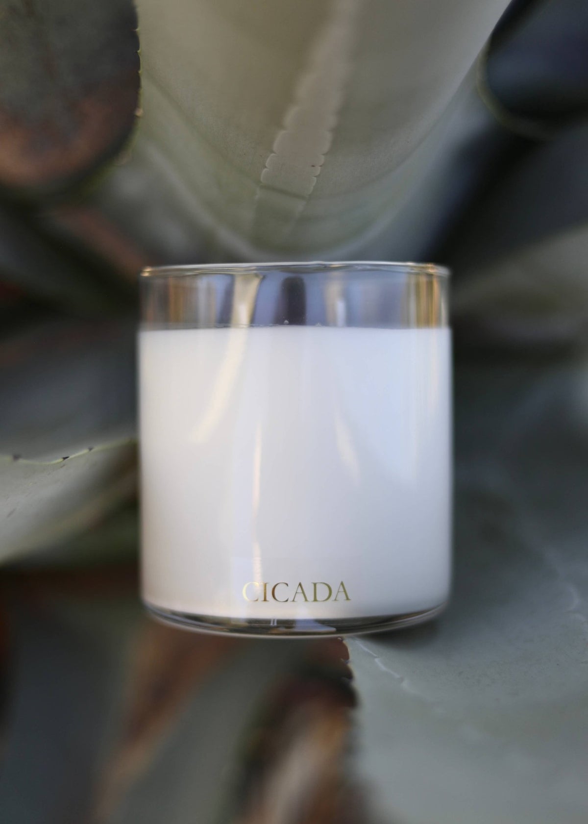 WINTER SOLSTICE Large Candle - vibeboxshop