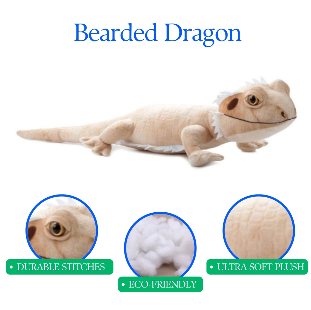 Bearded Dragon Reptile