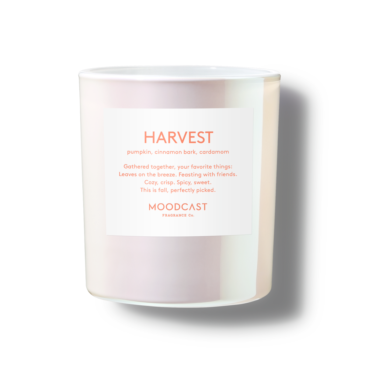 Harvest Candle | 8 oz
