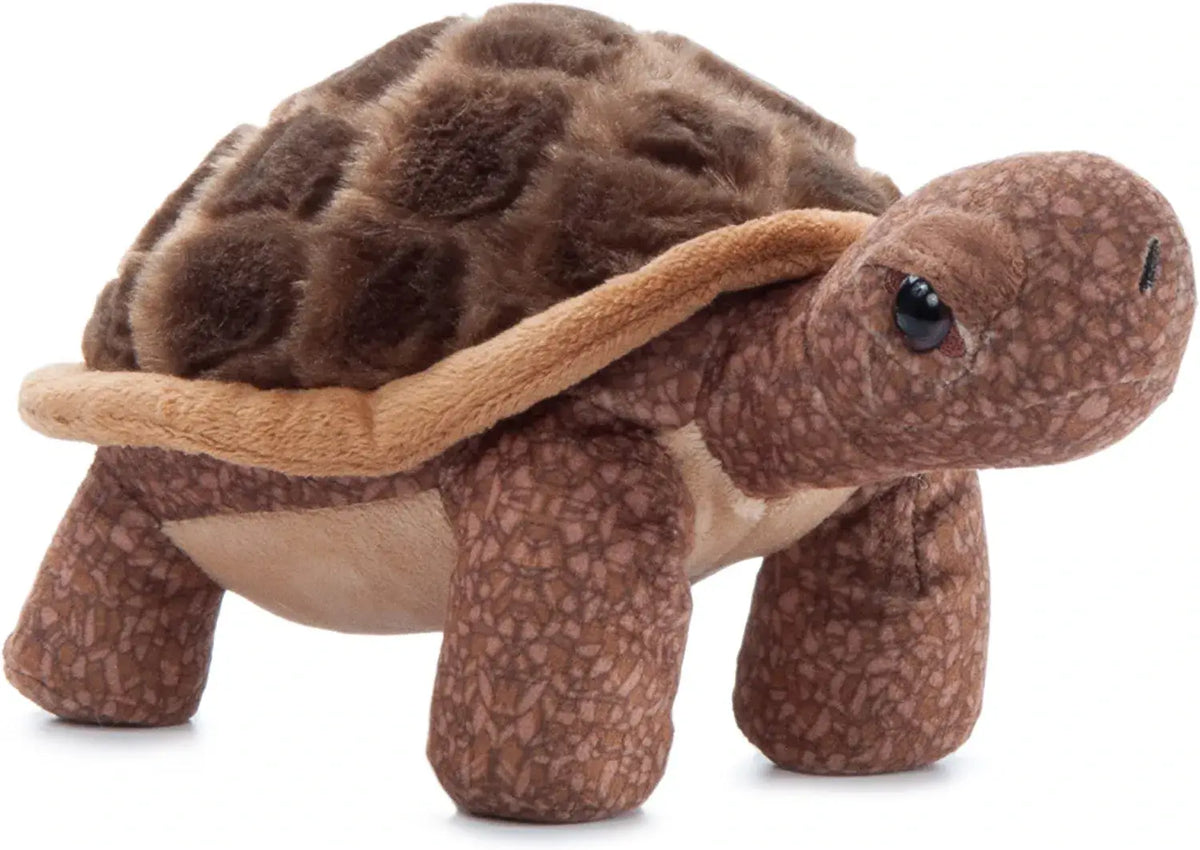 9" Wild Onez Tortoise