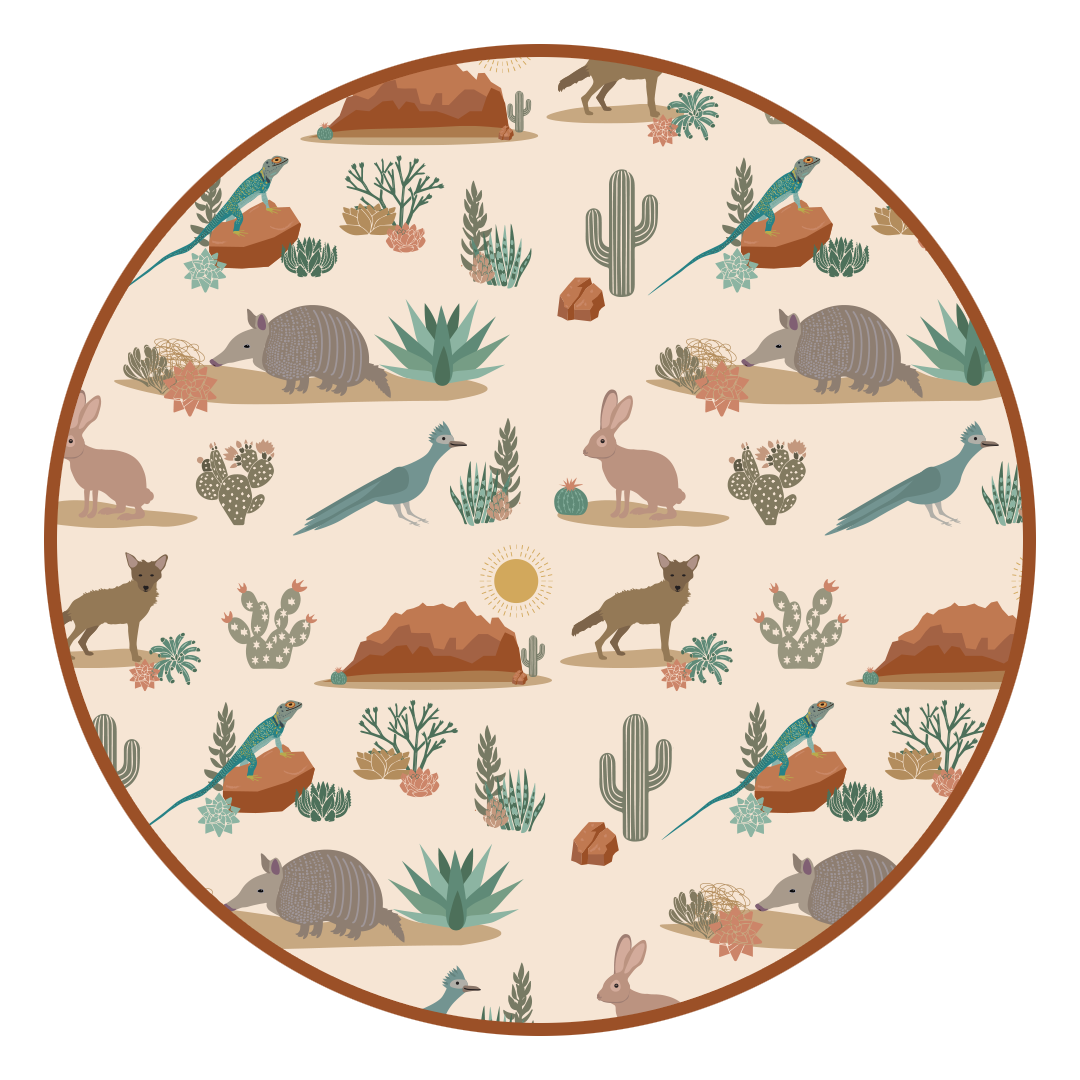 Desert Friends Western Armadillo Baby Lovey