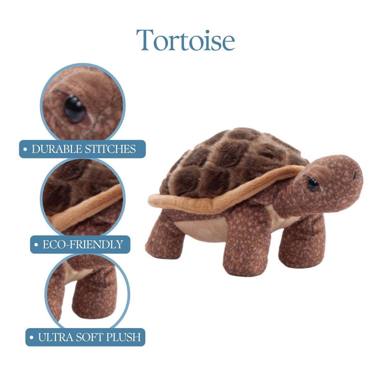 9" Wild Onez Tortoise