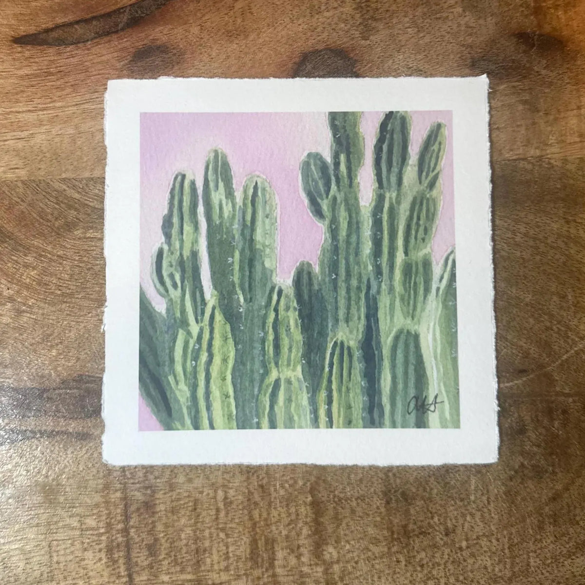 A square art print featuring a painted green cactus against a soft pink background, hand painted with Tiny Desert Studio artist signature in right hand corner. 