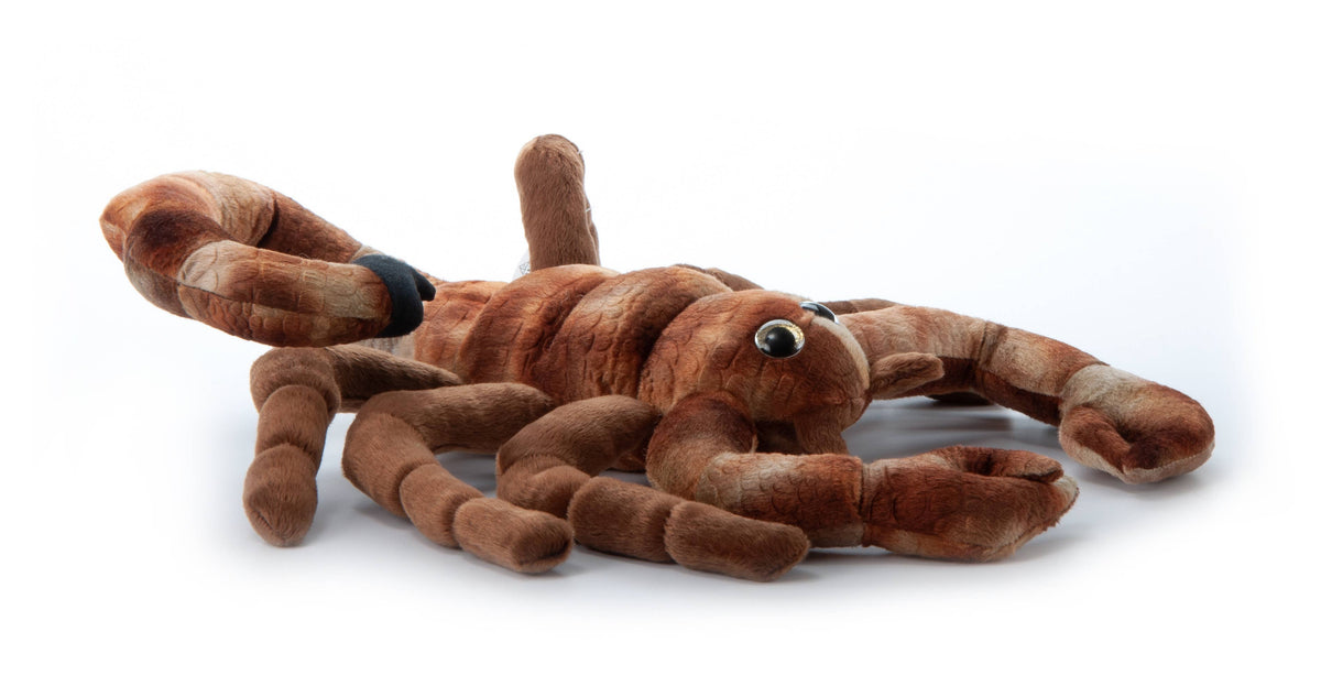 Scorpion Plush