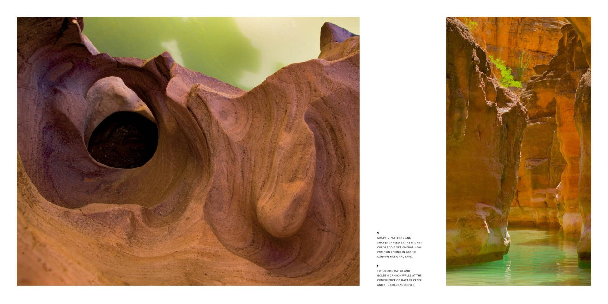 Arizona: Discover the Grand Canyon State - vibeboxshop
