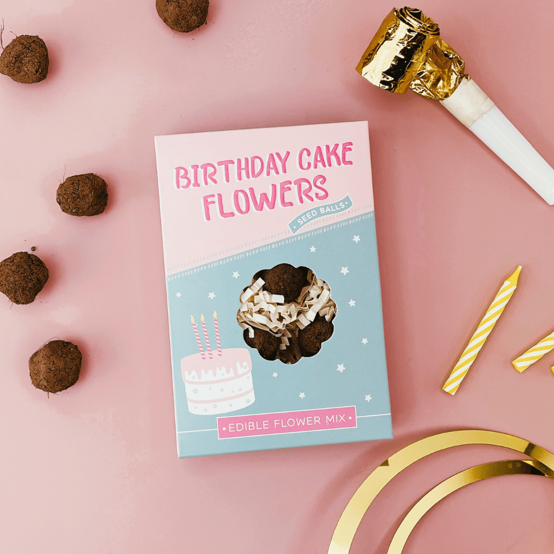Birthday Cake Seed Ball Gift Box - vibeboxshop