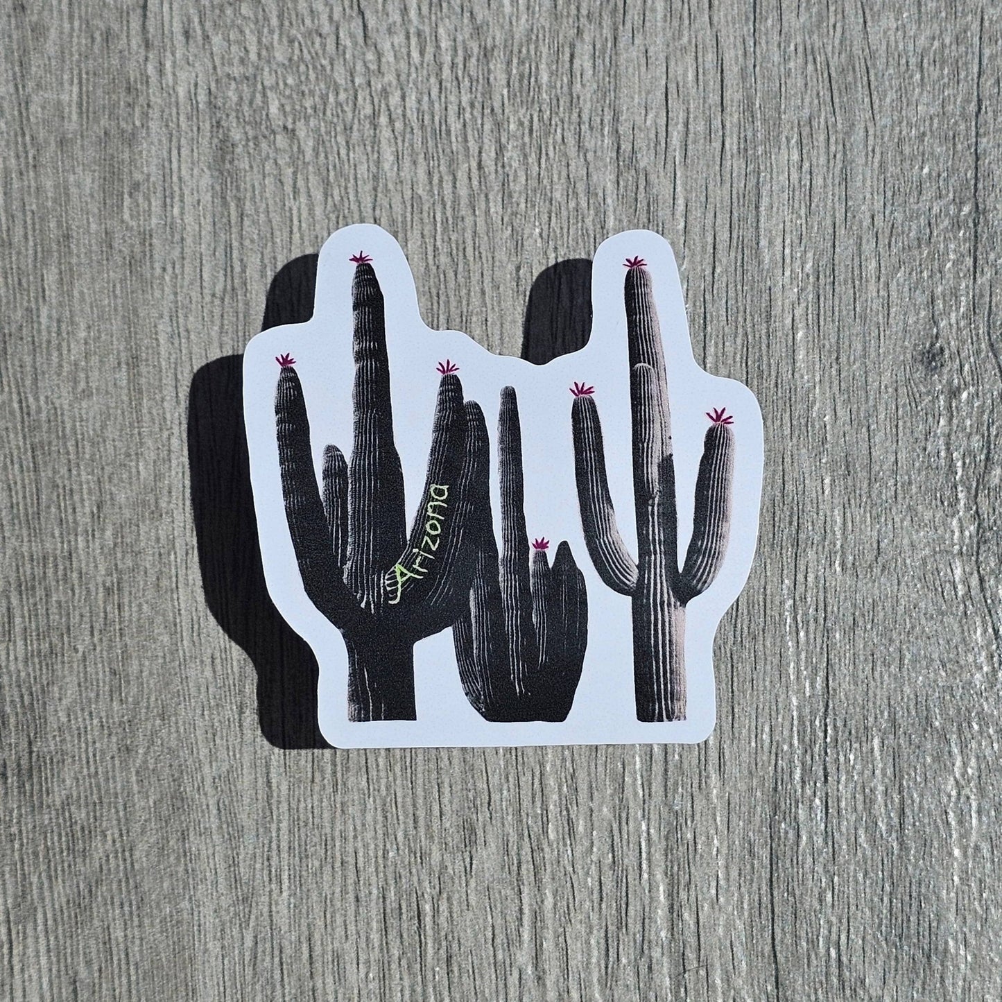 B&W Saguaro Sticker - vibeboxshop