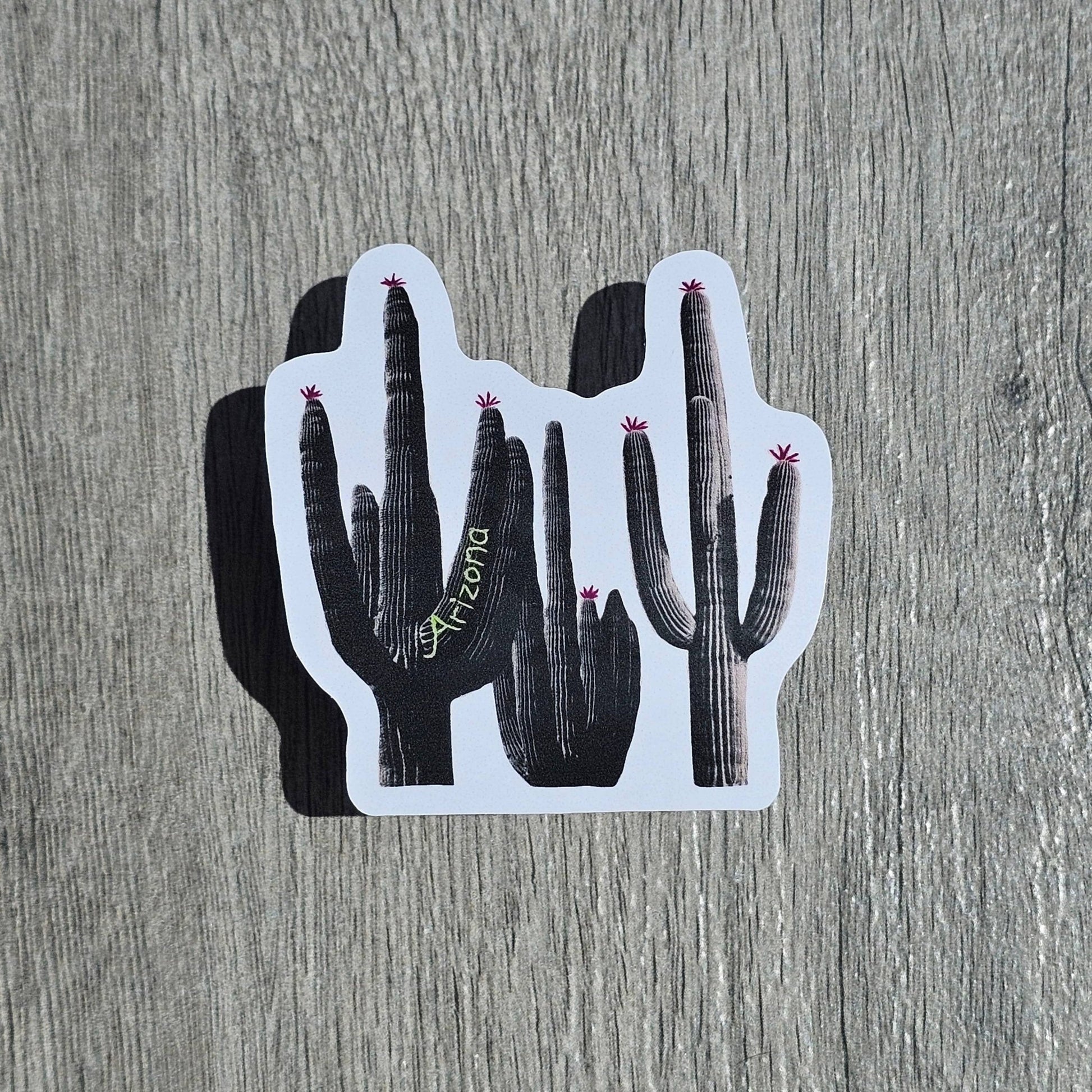 B&W Saguaro Sticker - vibeboxshop