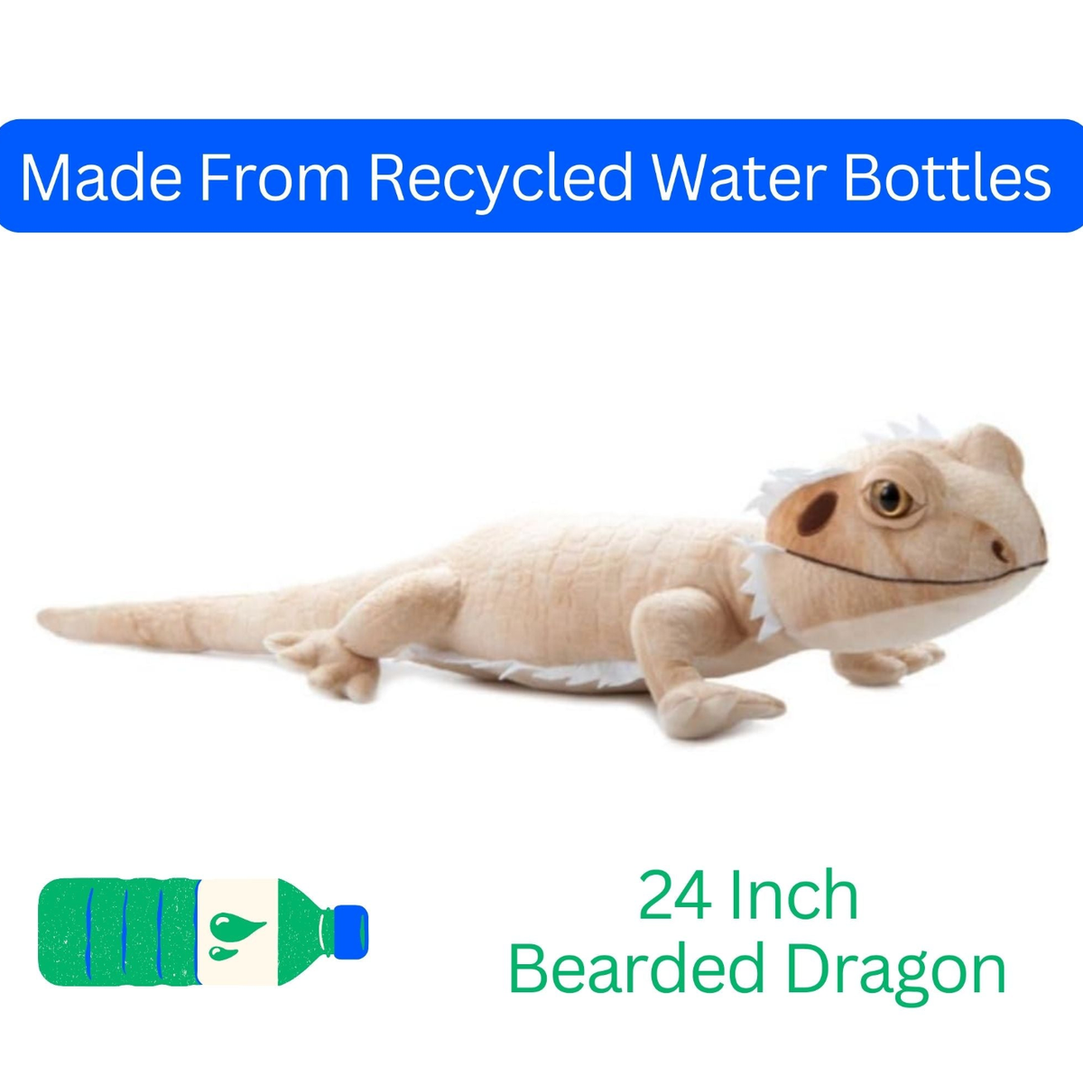 Bearded Dragon Reptile
