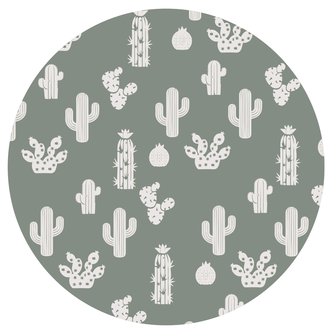 Cactus Bamboo Baby Lovey - vibeboxshop