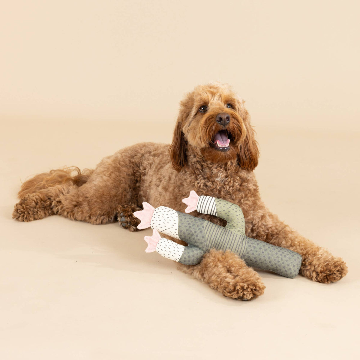 CACTUS SQUEAKER DOG TOY - vibeboxshop