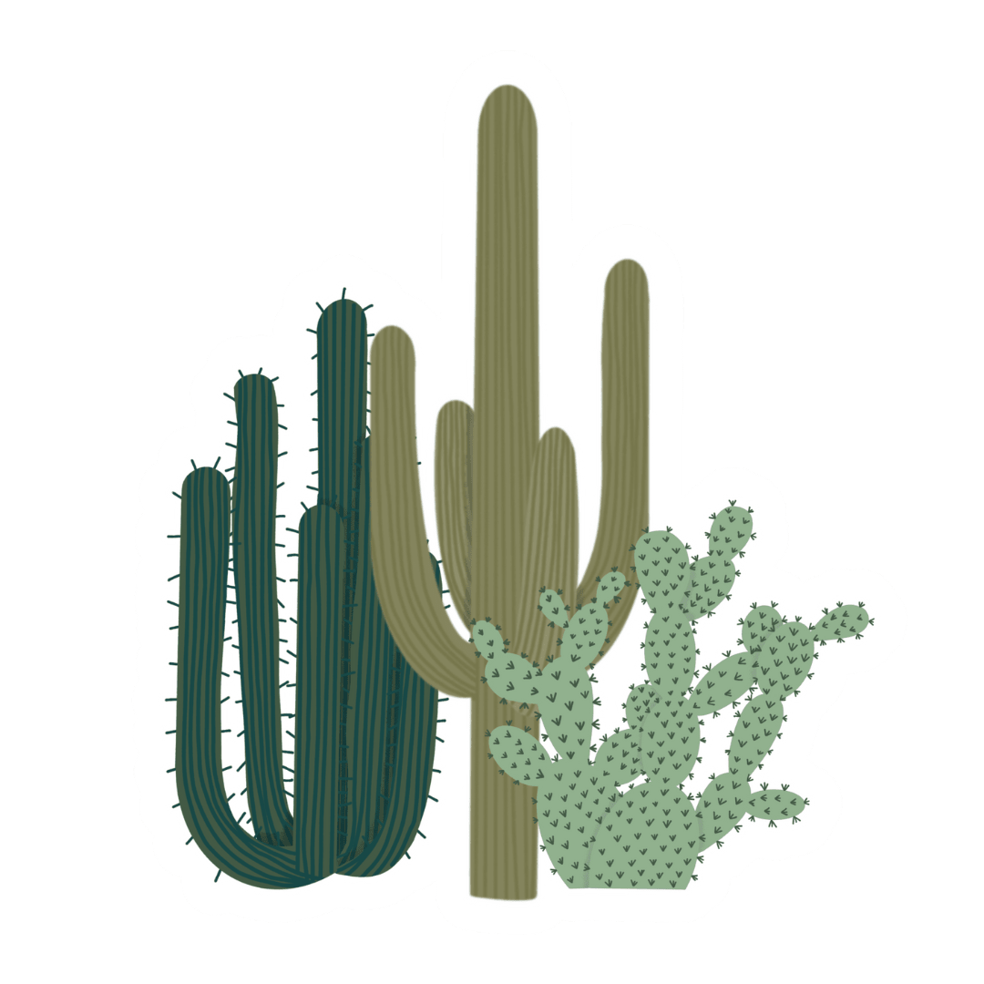 Cactus Vinyl Sticker - vibeboxshop