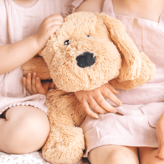 Charlie Weighted Puppy | Calming Sensory Toy - vibeboxshop