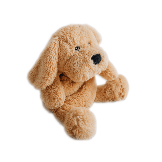 Charlie Weighted Puppy | Calming Sensory Toy - vibeboxshop