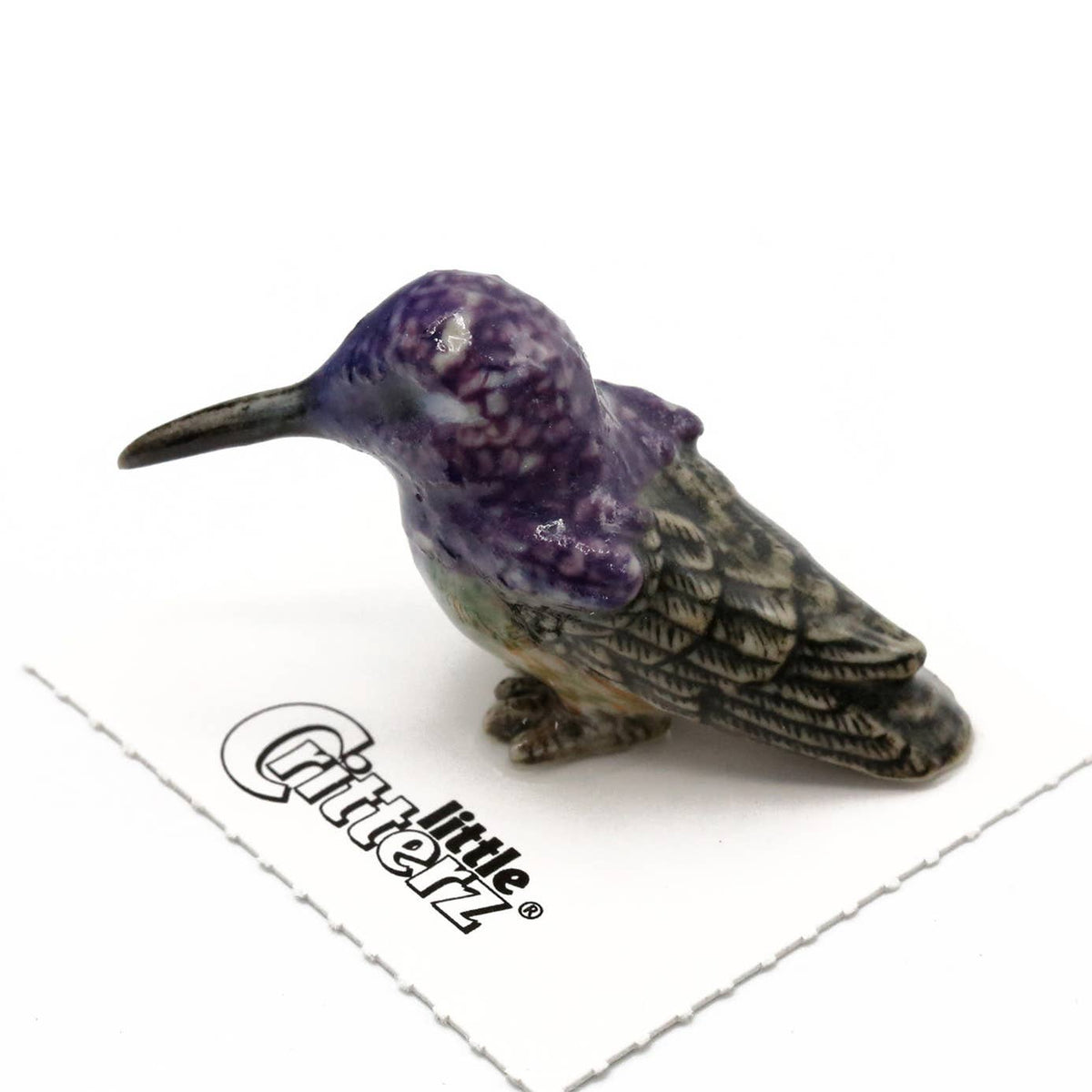 Cheer Costa's Hummingbird Porcelain Miniature - vibeboxshop