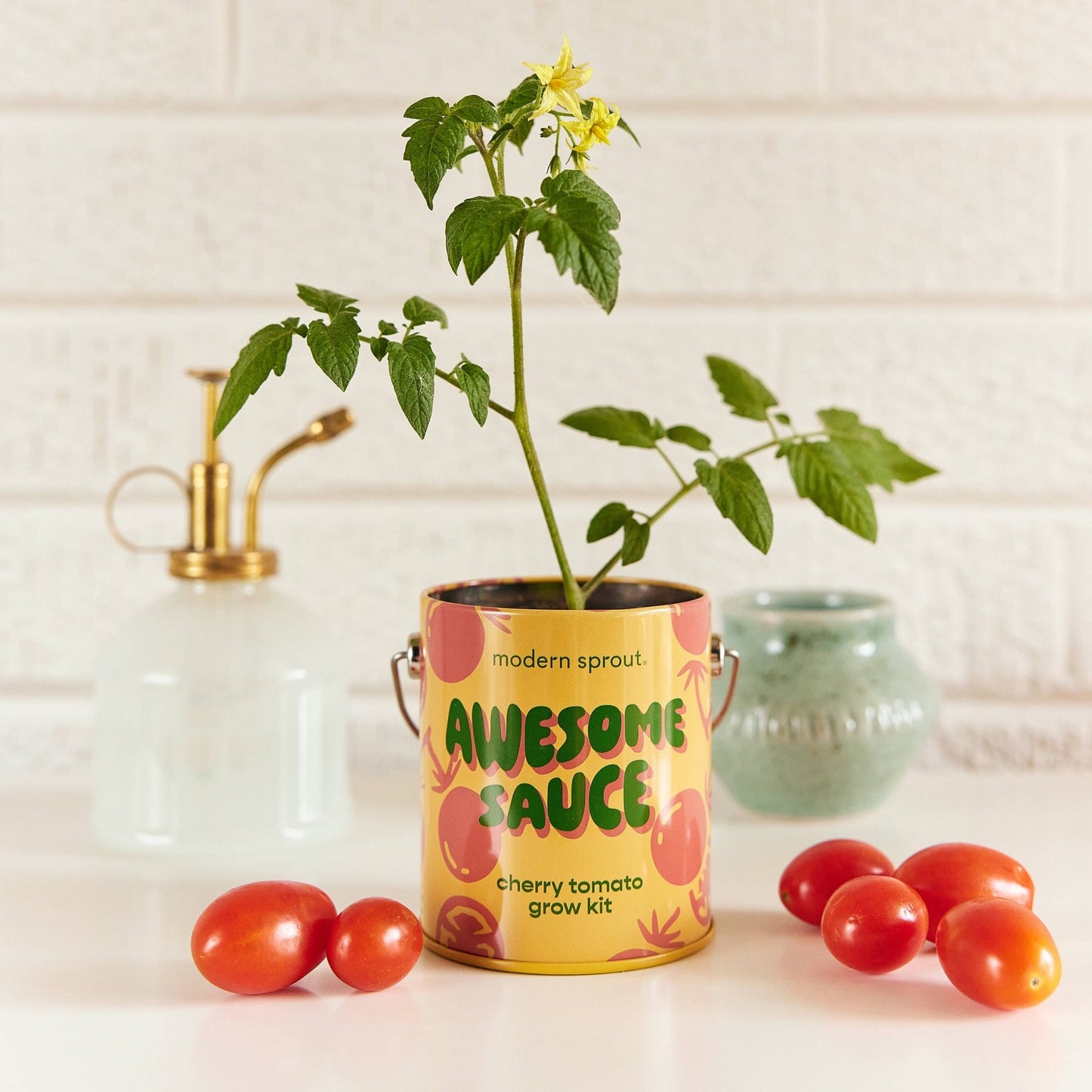 Color Grow Kits - vibeboxshop