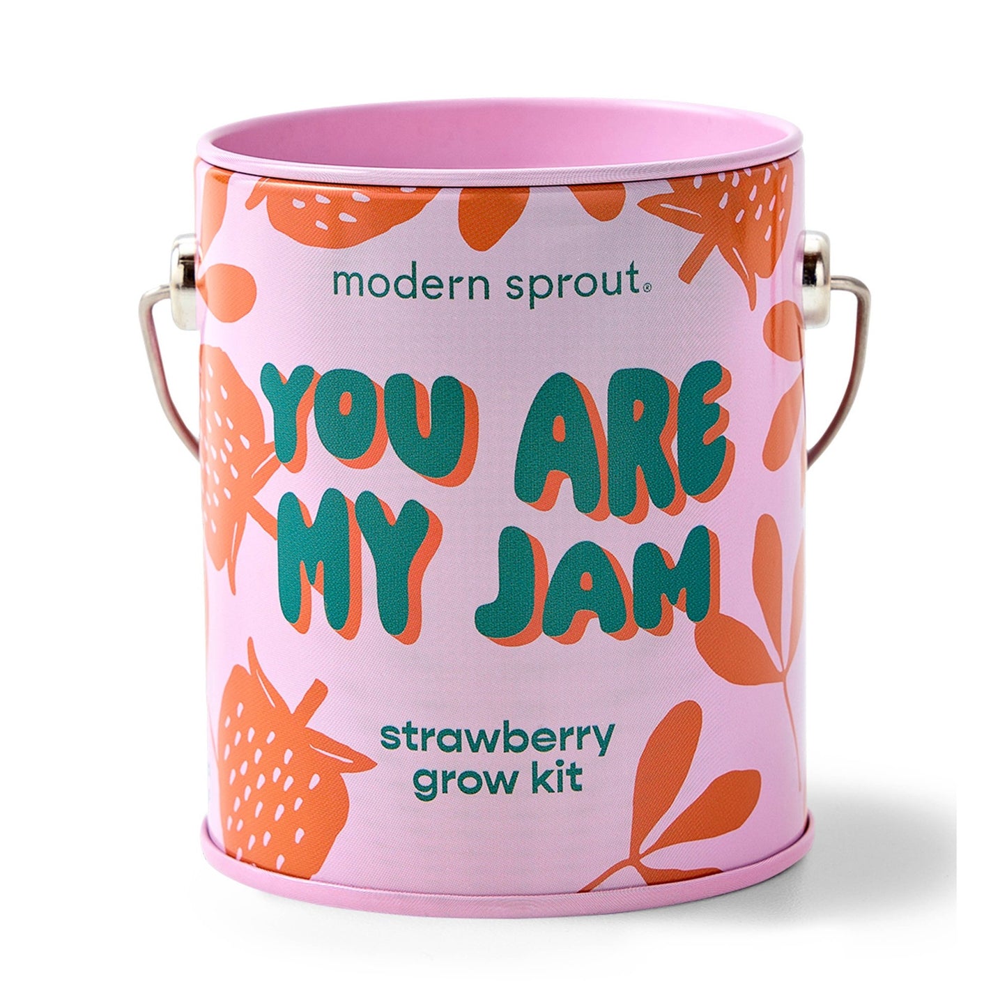 Color Grow Kits - vibeboxshop