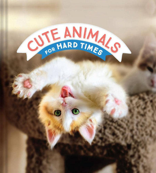 Cute Animals for Hard Times - vibeboxshop