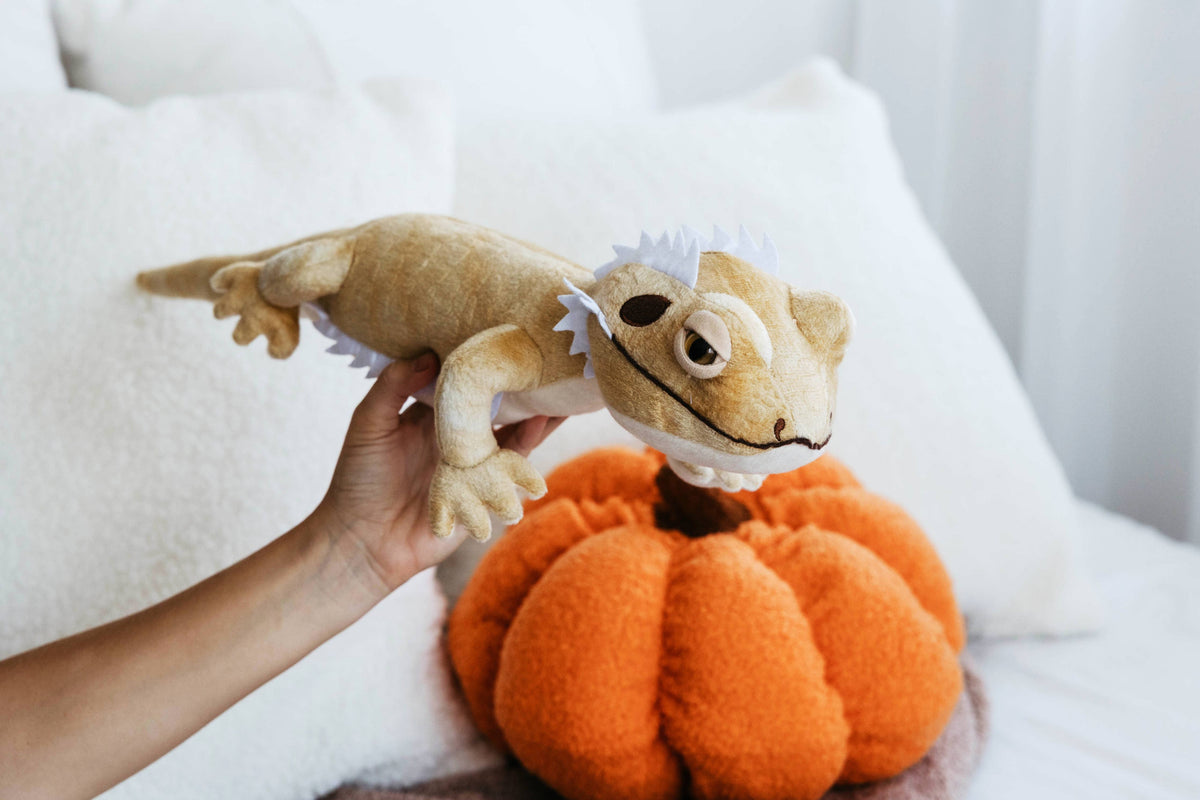 Bearded Dragon Reptile