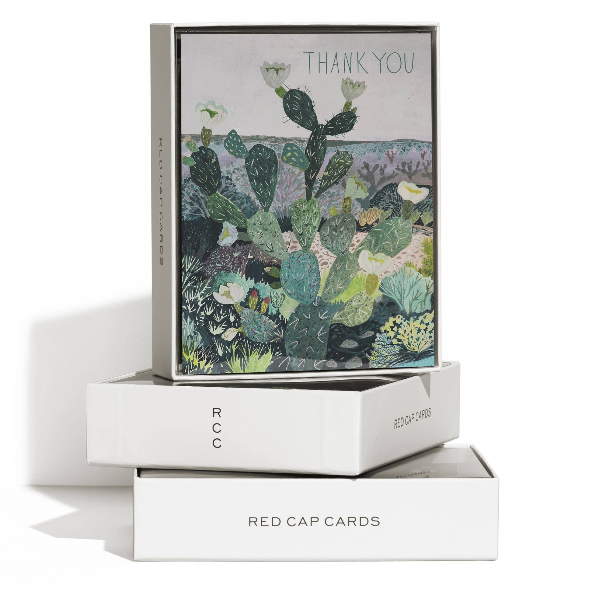 Desert Landscape Thank You Card Box Set - vibeboxshop