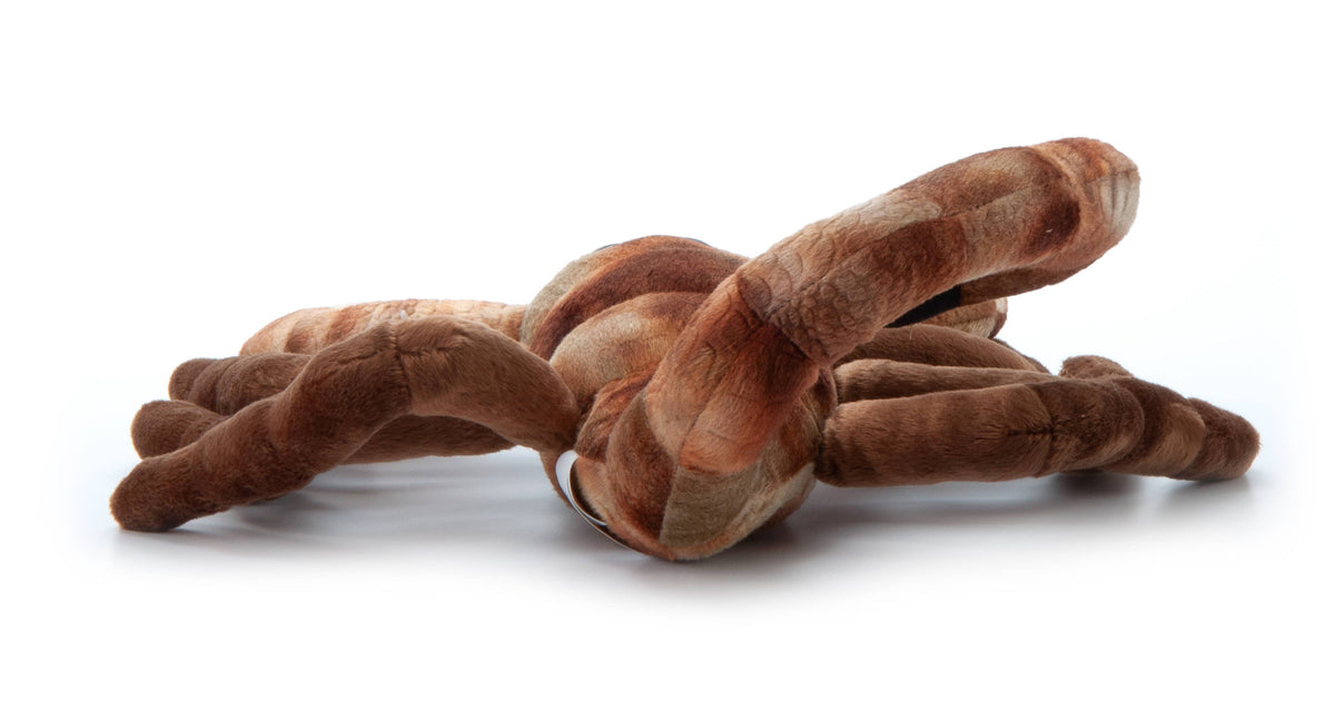 Scorpion Plush