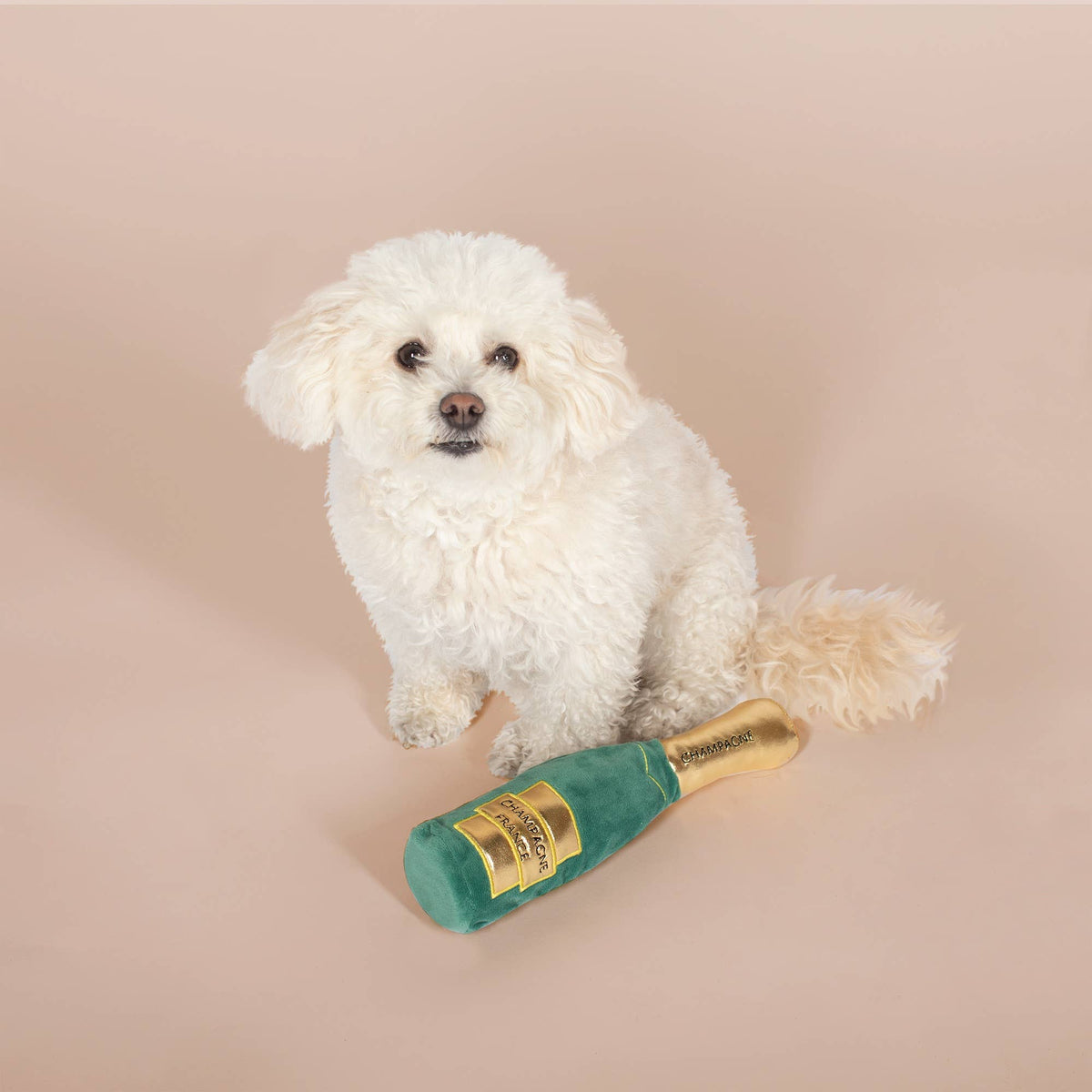 Feeling Bubbly | Plush Dog Toy - vibeboxshop