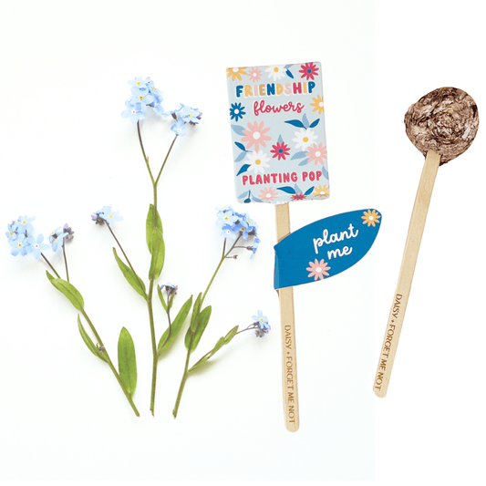 Flowers Garden + Gift Seed Planting Pop - vibeboxshop