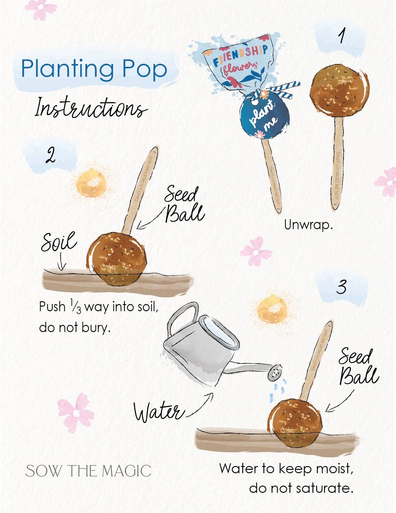 Flowers Garden + Gift Seed Planting Pop - vibeboxshop