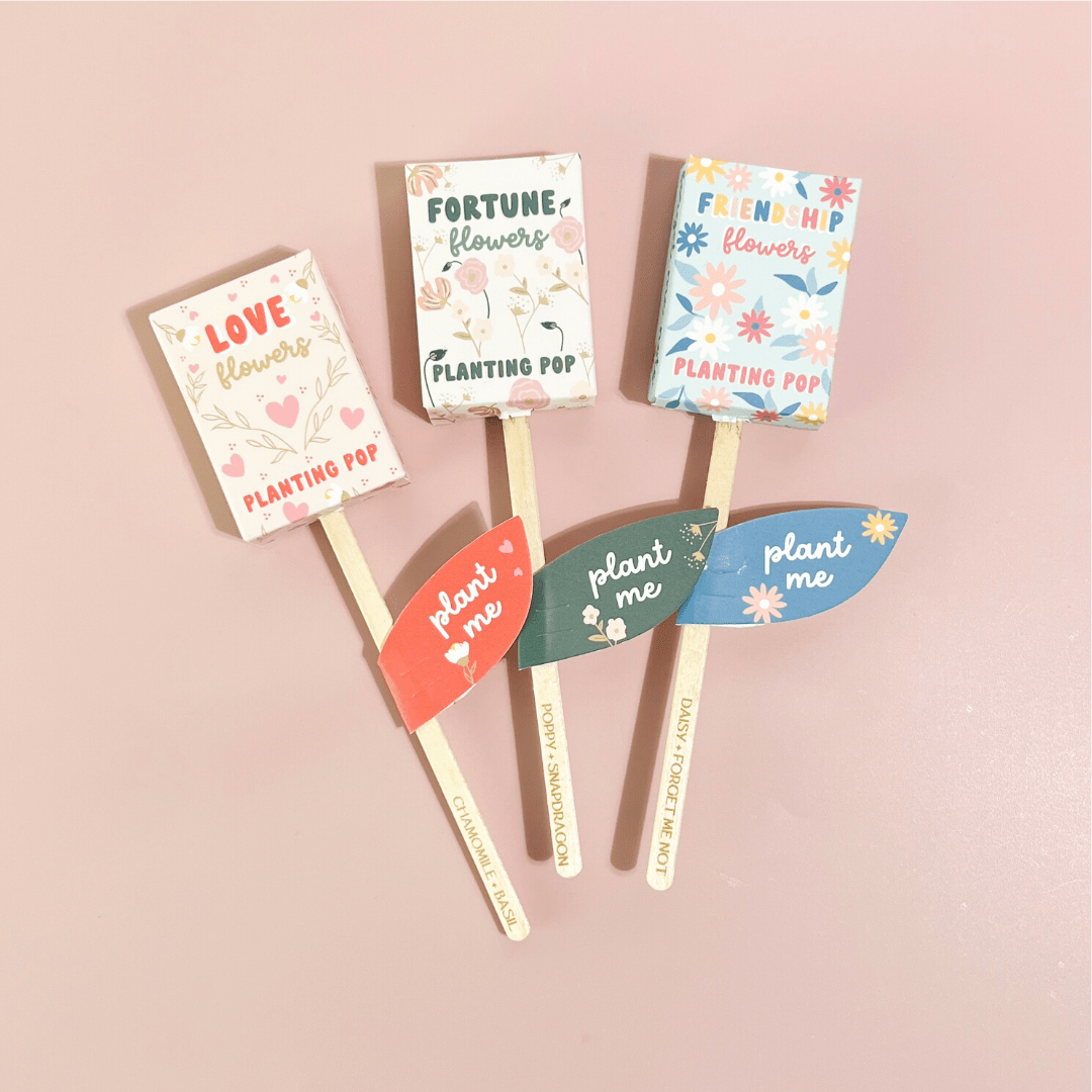 Flowers Garden + Gift Seed Planting Pop - vibeboxshop