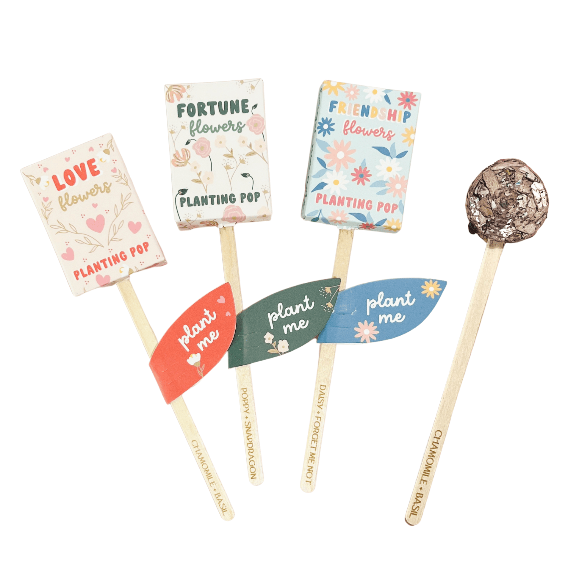 Flowers Garden + Gift Seed Planting Pop - vibeboxshop