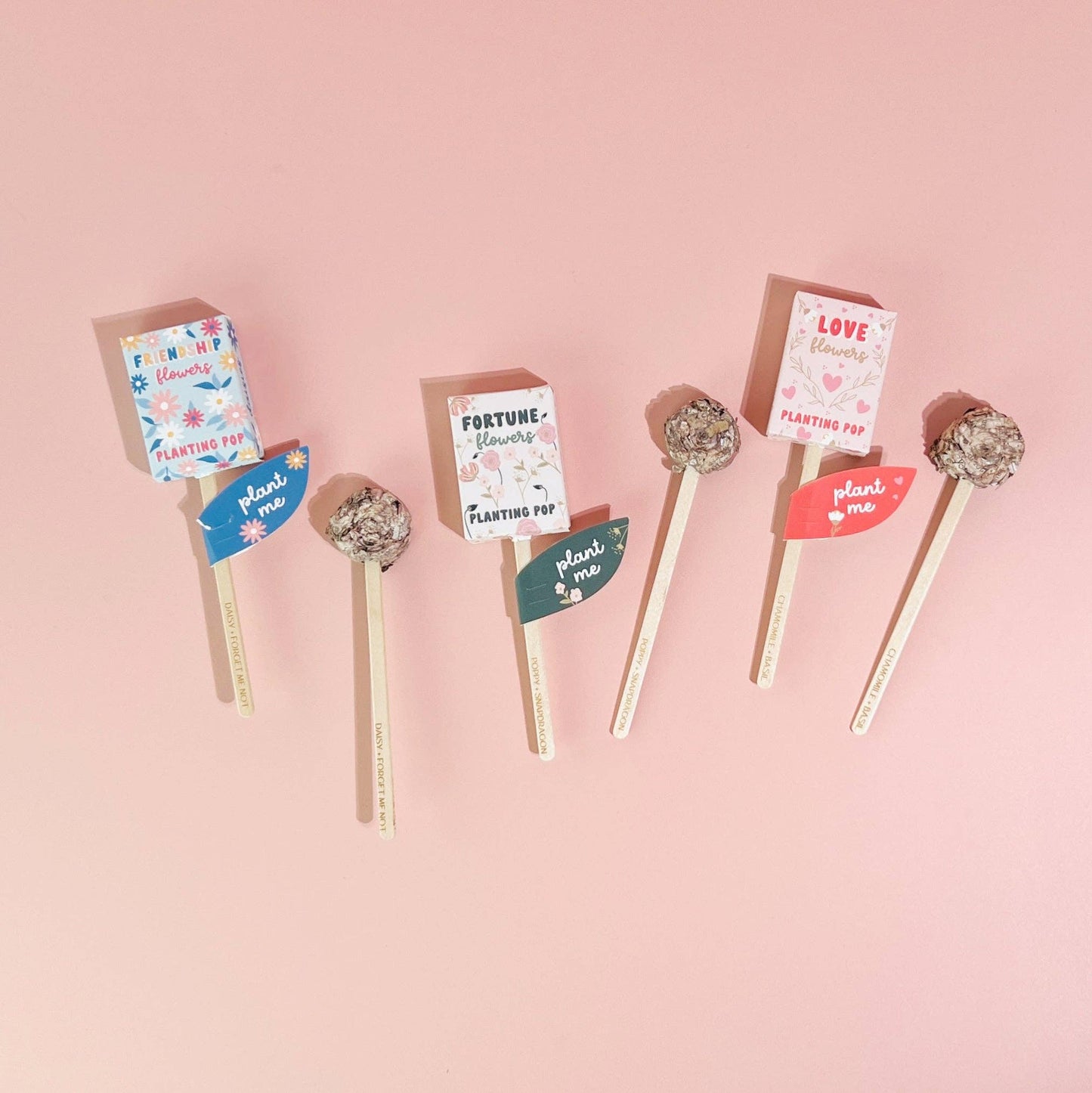 Flowers Garden + Gift Seed Planting Pop - vibeboxshop