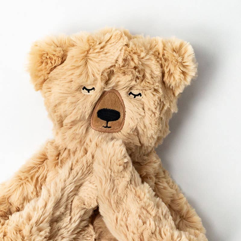 Honey Bear's Gratitude Plush Snuggler Set - vibeboxshop
