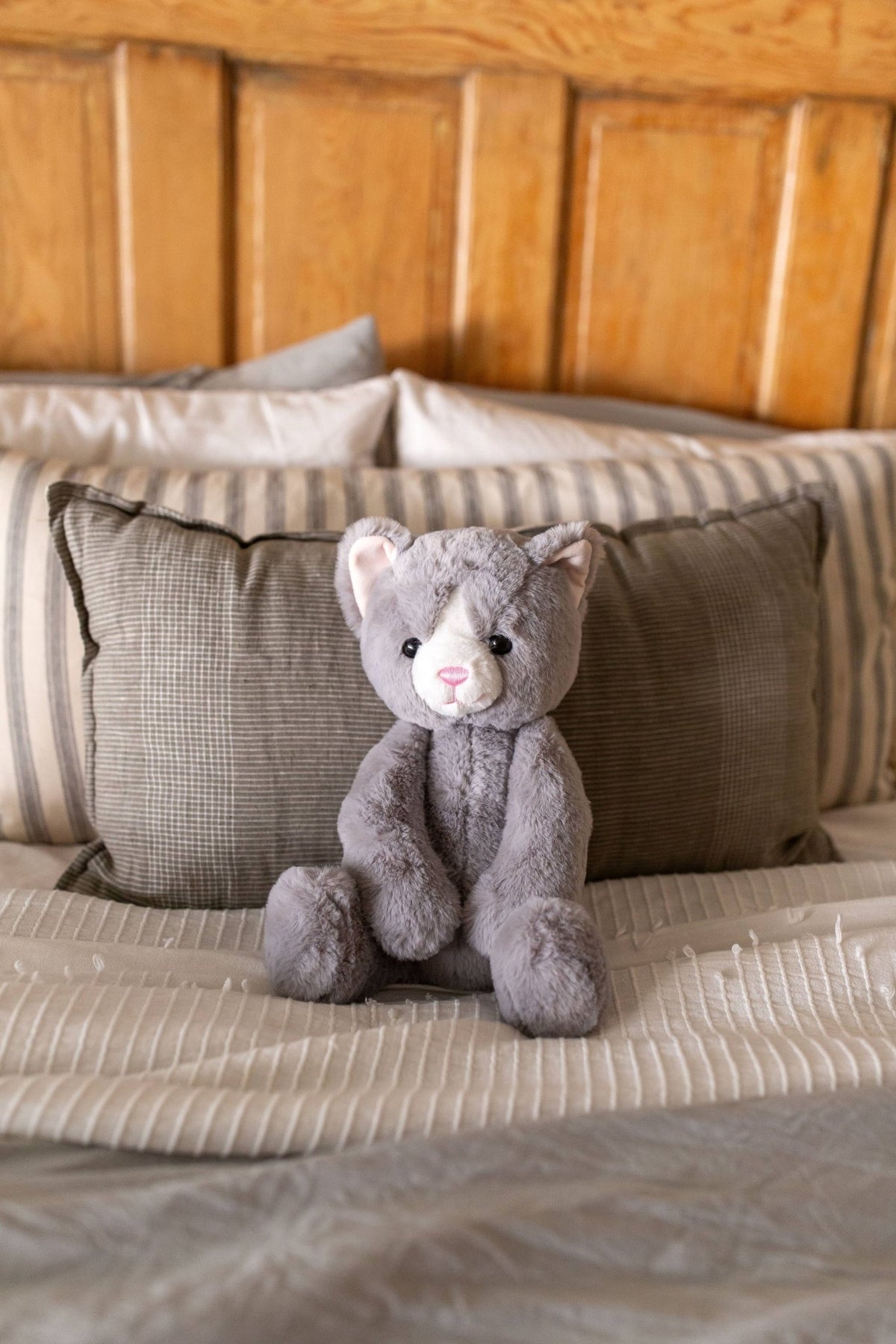 Karing Kitten Plush Toy - vibeboxshop