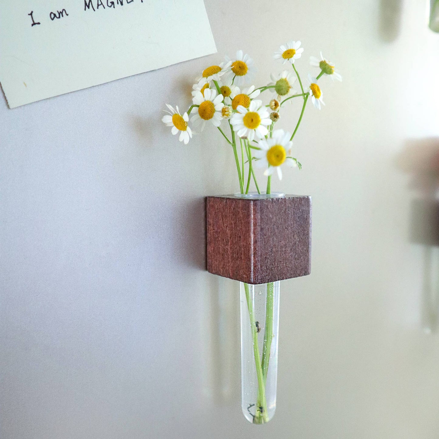 Mini Vase Magnets | Set of 2 - vibeboxshop