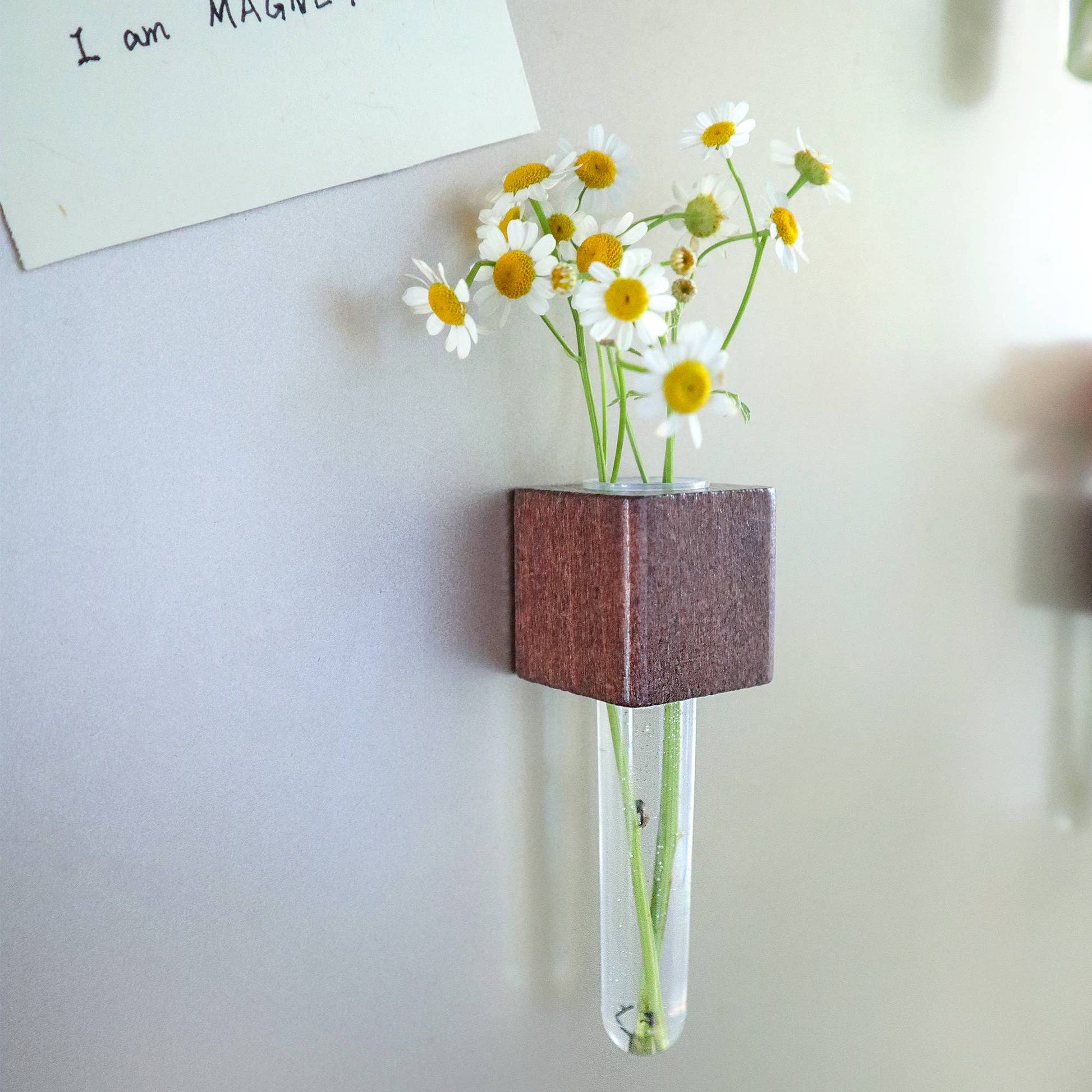 Mini Vase Magnets | Set of 2 - vibeboxshop