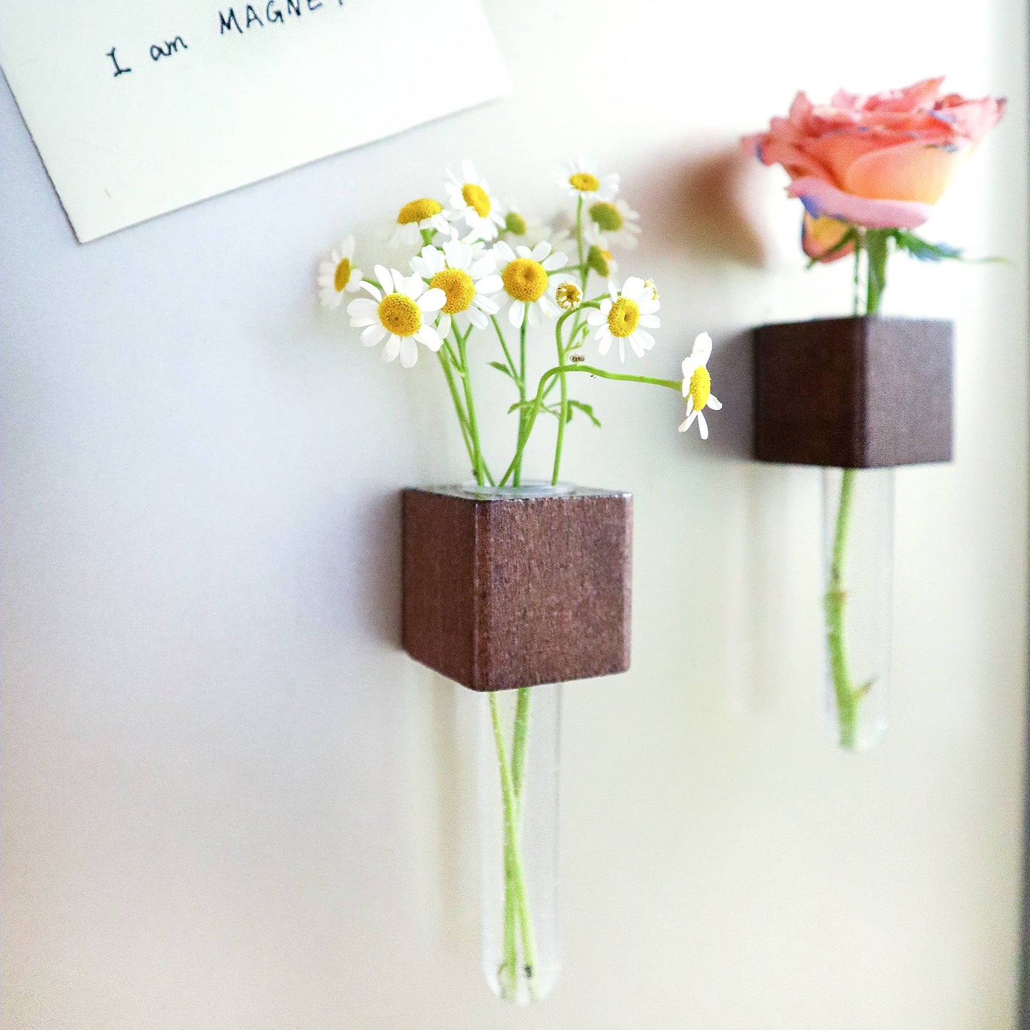 Mini Vase Magnets | Set of 2 - vibeboxshop
