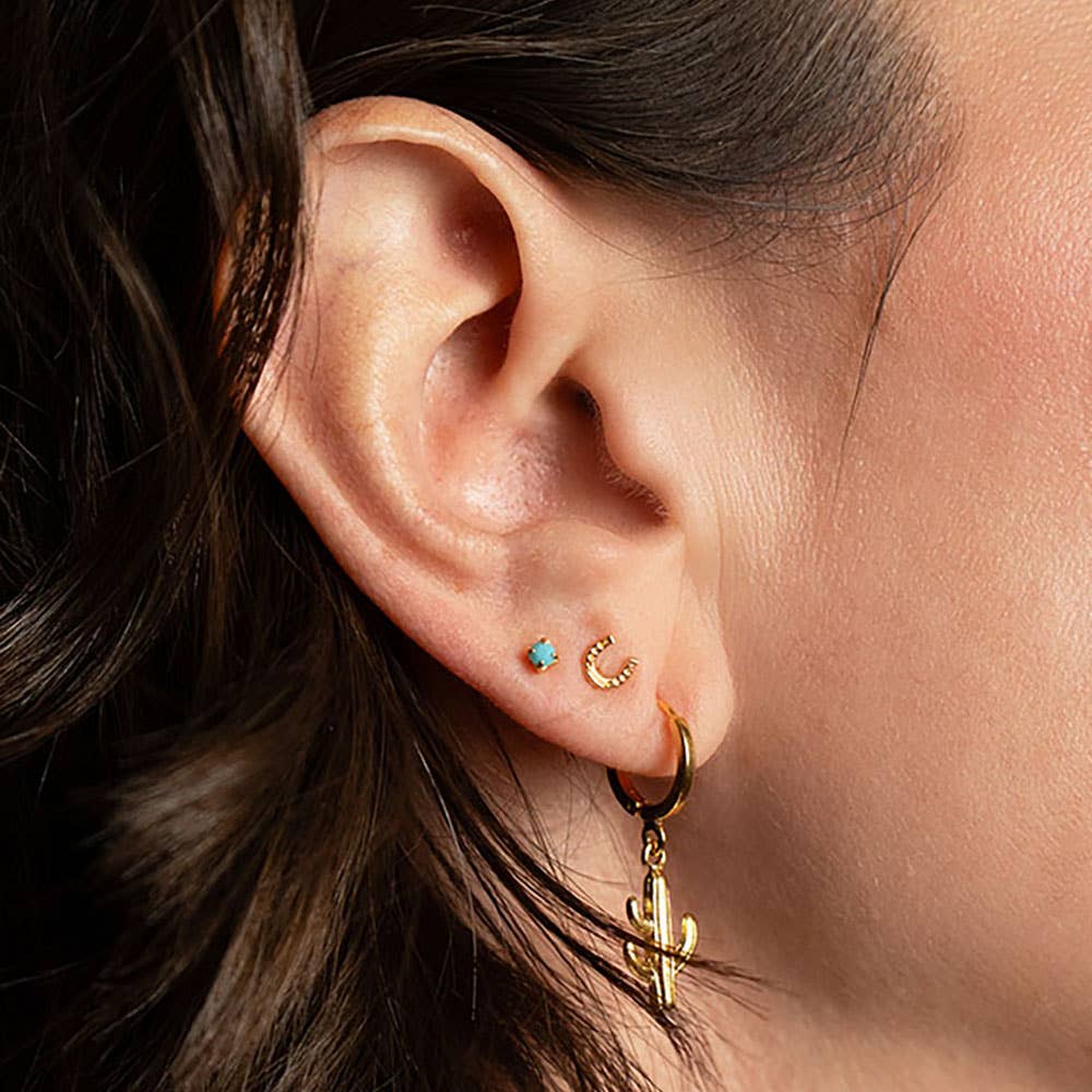 Montana Stud Earring Combo - vibeboxshop