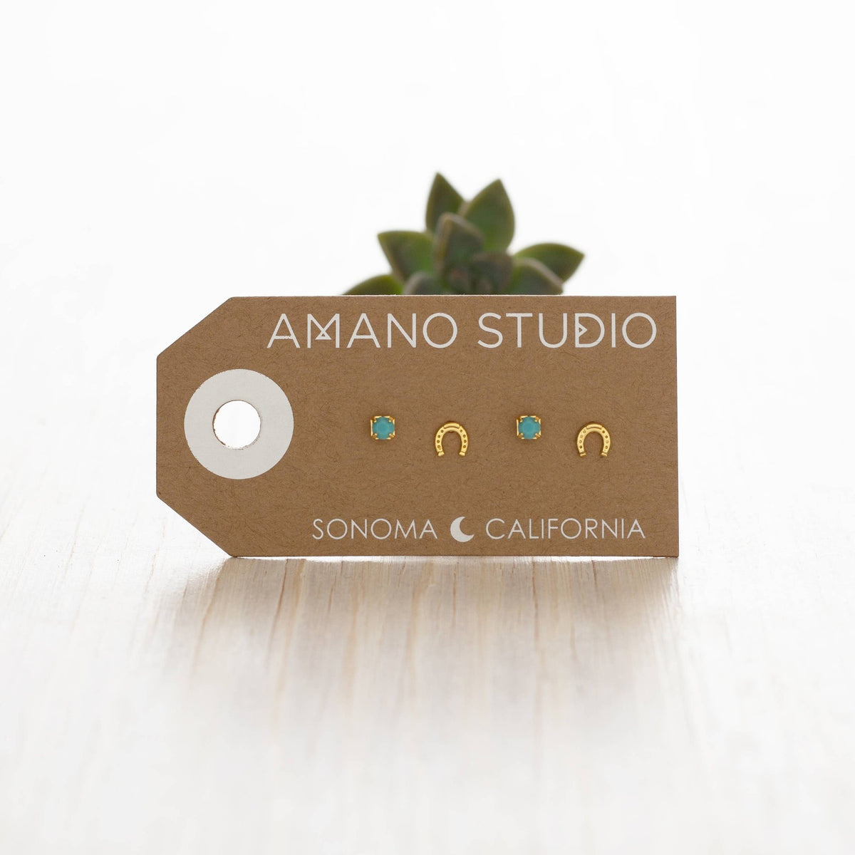 Montana Stud Earring Combo - vibeboxshop