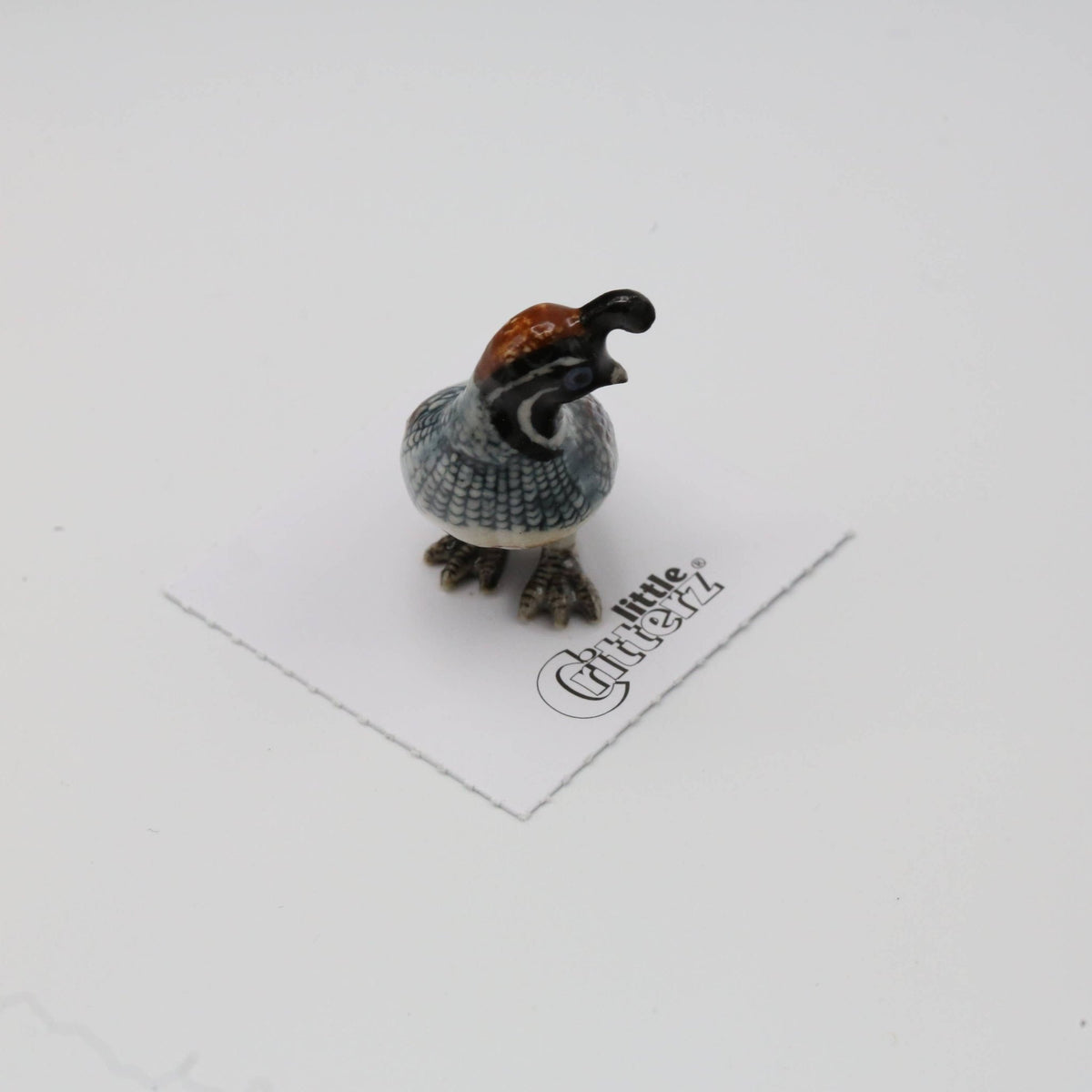 Sage Gambel's Quail Porcelain Mini Figurine - vibeboxshop